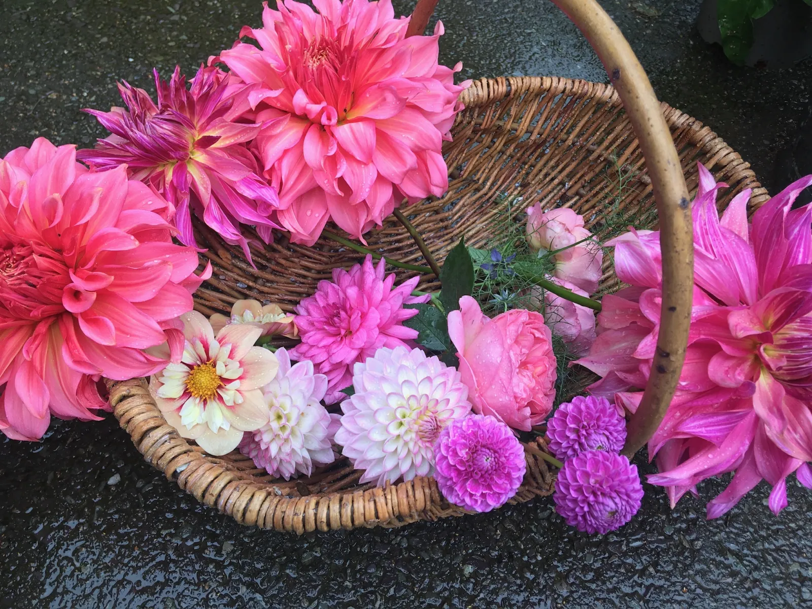 Floral arrangement